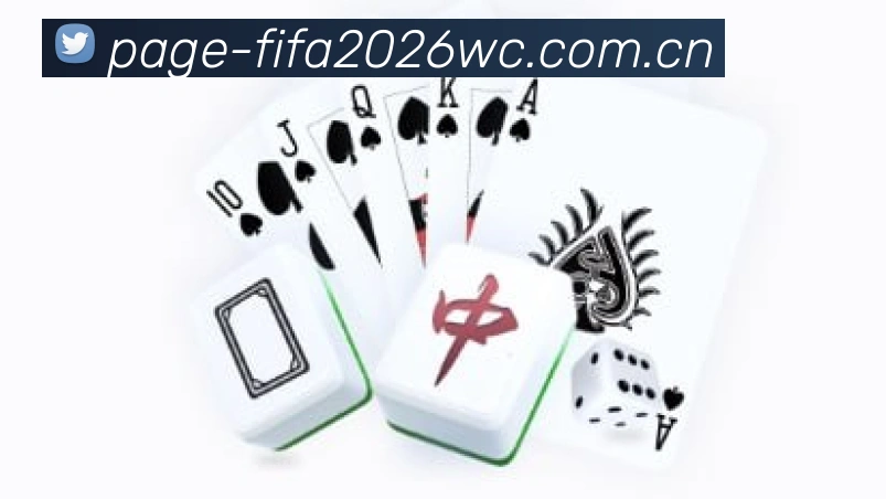 FIFA官方认证